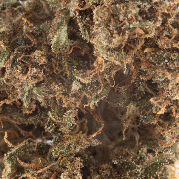 NEW! Godfather OG Hemp Flower