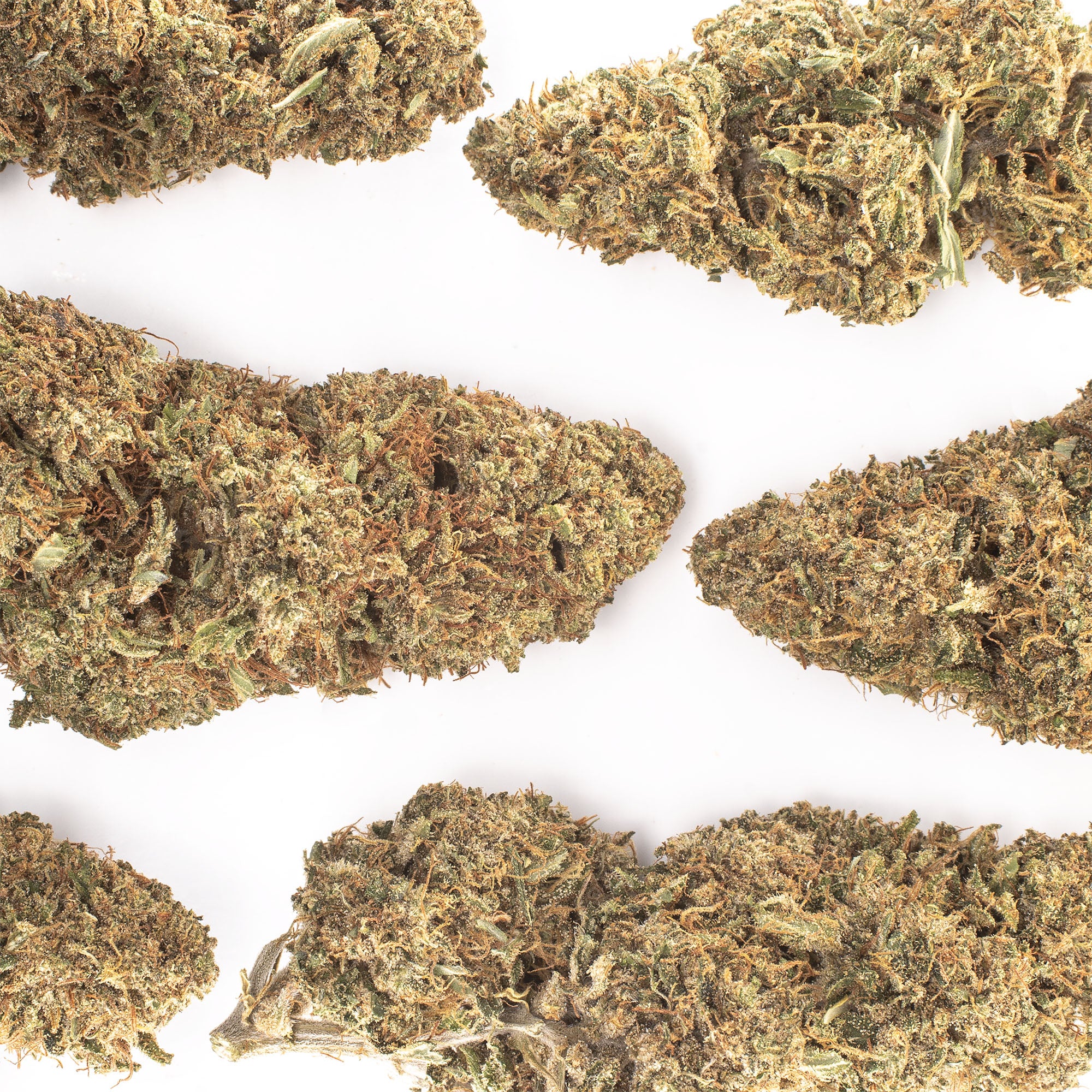 NEW! Godfather OG Hemp Flower