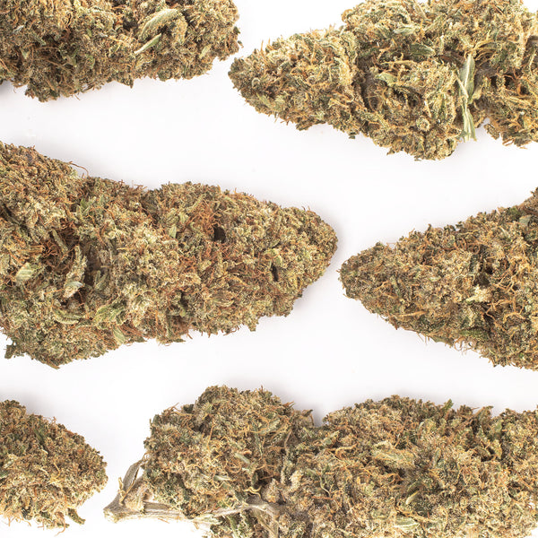 NEW! Godfather OG Hemp Flower