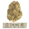 NEW! Hawaiian Haze Hemp Flower