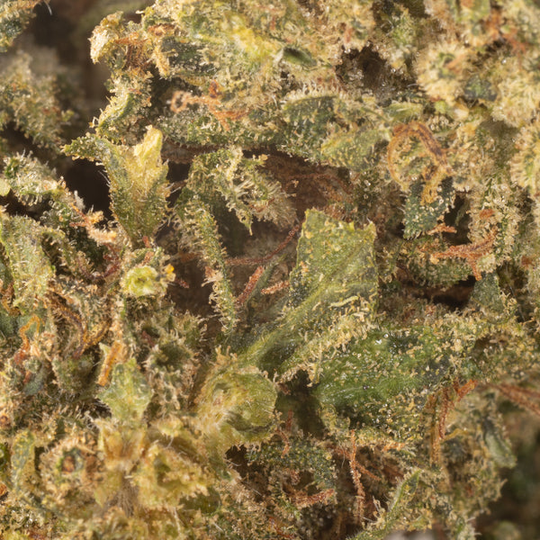 NEW! Hawaiian Haze Hemp Flower