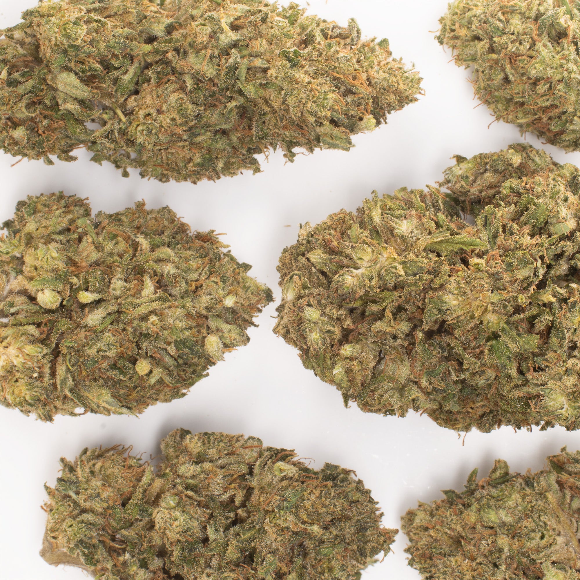 NEW! Hawaiian Haze Hemp Flower