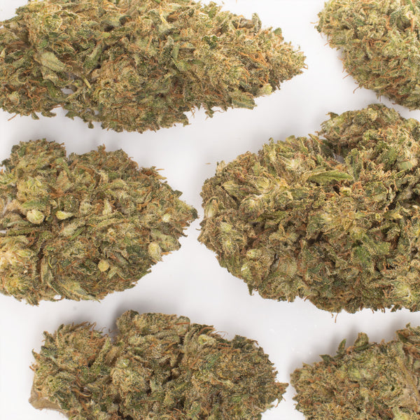 NEW! Hawaiian Haze Hemp Flower