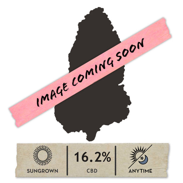 Lavender Cupcakes Hemp Flower