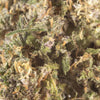 NEW! Legendary Platinum OG Hemp Flower