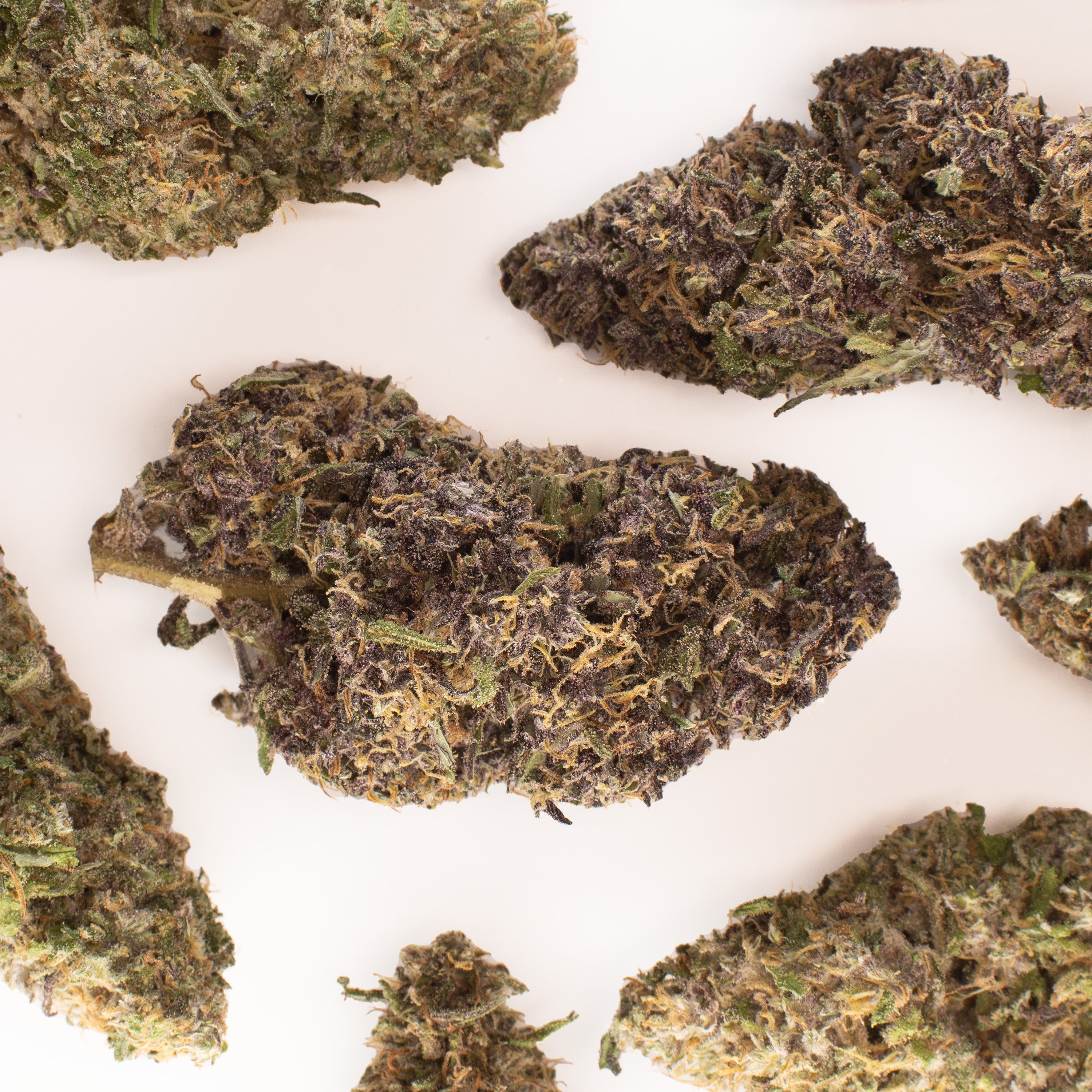 NEW! Legendary Platinum OG Hemp Flower