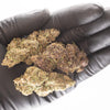 NEW! Legendary Platinum OG Hemp Flower