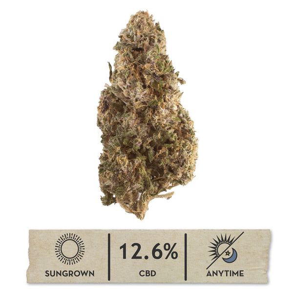 NEW! Legendary Platinum OG Hemp Flower