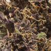 NEW! Legendary Platinum OG Hemp Flower