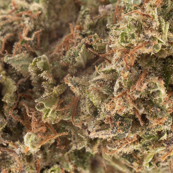 NEW! Lemon Cookie Dough Hemp Flower