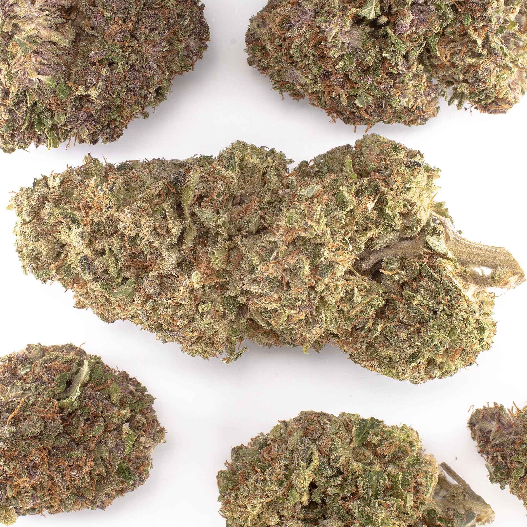 Lemon Cookie Dough Hemp Flower