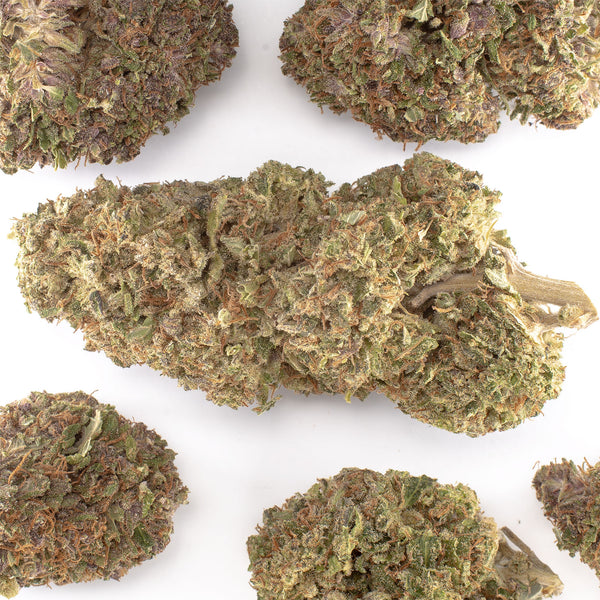 Lemon Cookie Dough Hemp Flower