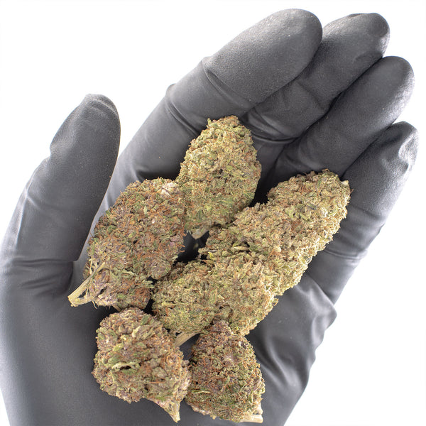 Lemon Cookie Dough Hemp Flower