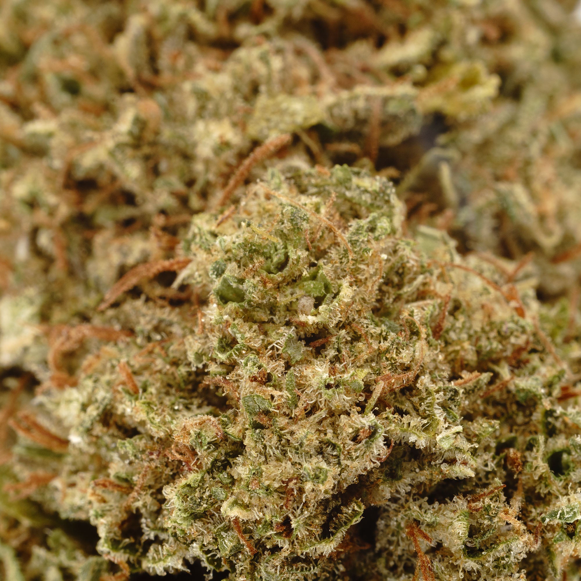 Lemon Octane Hemp Flower