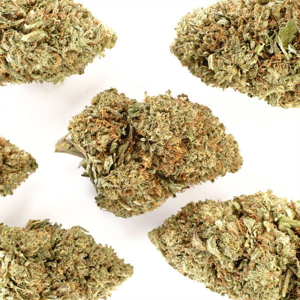 Lemon Octane Hemp Flower