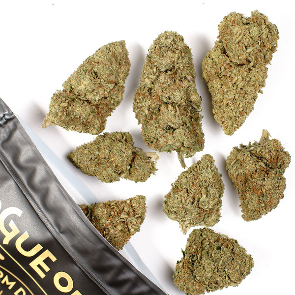 Lemon Octane Hemp Flower