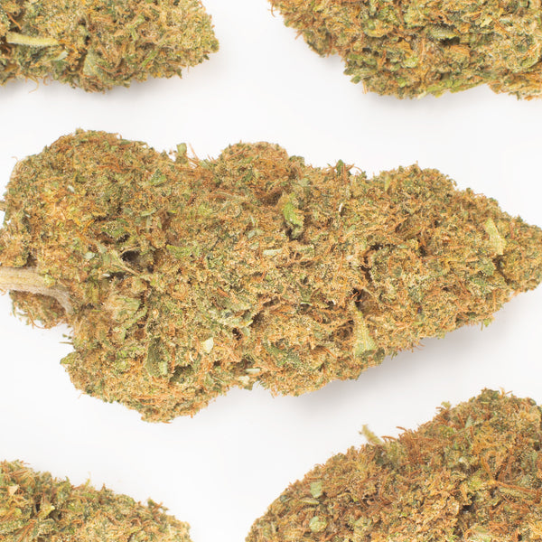 NEW! Lifter Hemp Flower