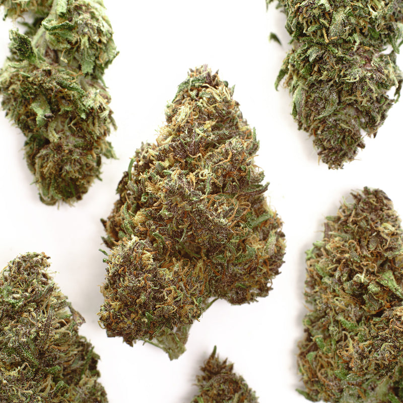 Mandarin Chocolate CBD hemp flower, several whole buds on white