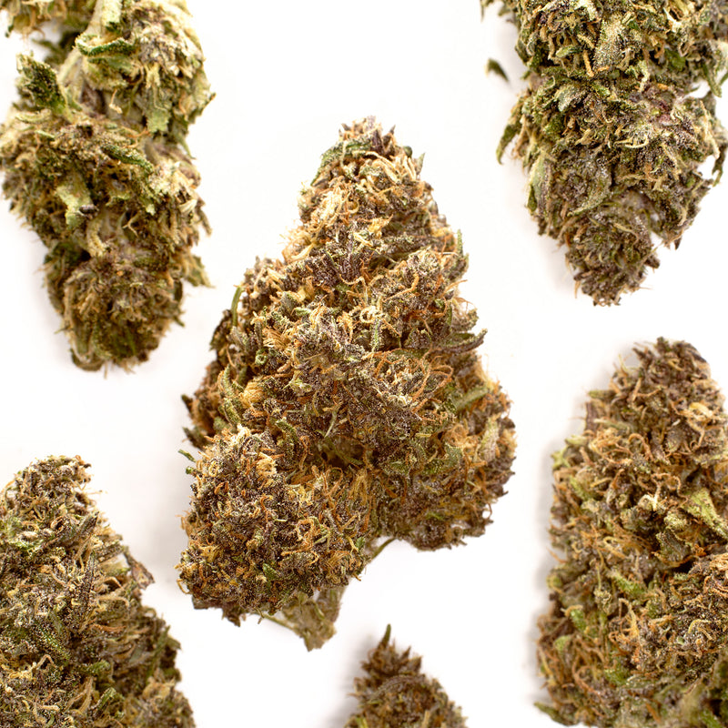 Mandarin Chocolate CBD hemp flower, several whole buds on white