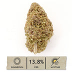 Orange Fritter Hemp Flower