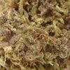 NEW! Orange Fritter Hemp Flower