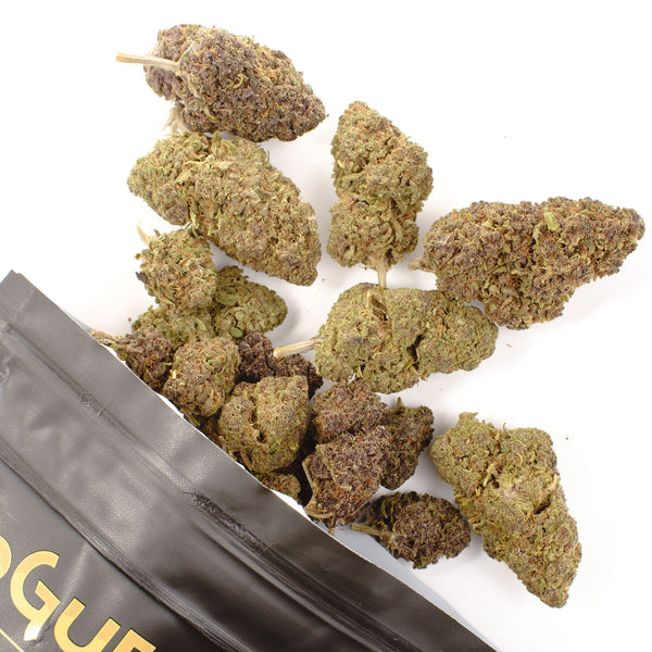 NEW! Orange Fritter Hemp Flower