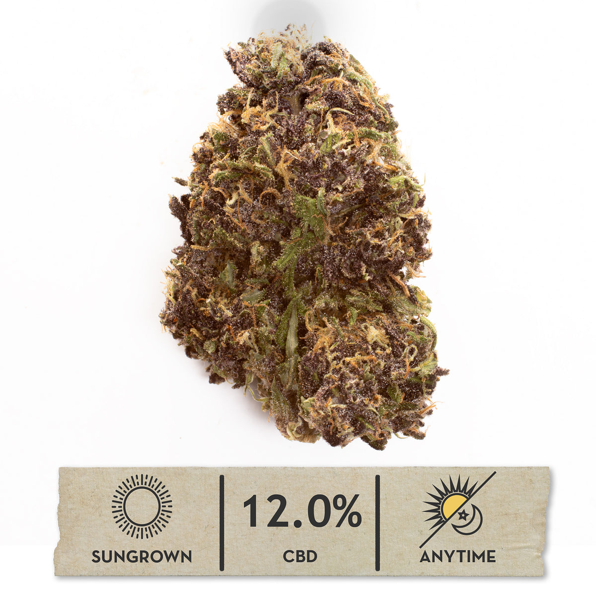 Orange Fritter CBD hemp flower, single bud on white with its sungrown, 12.0% CBD label