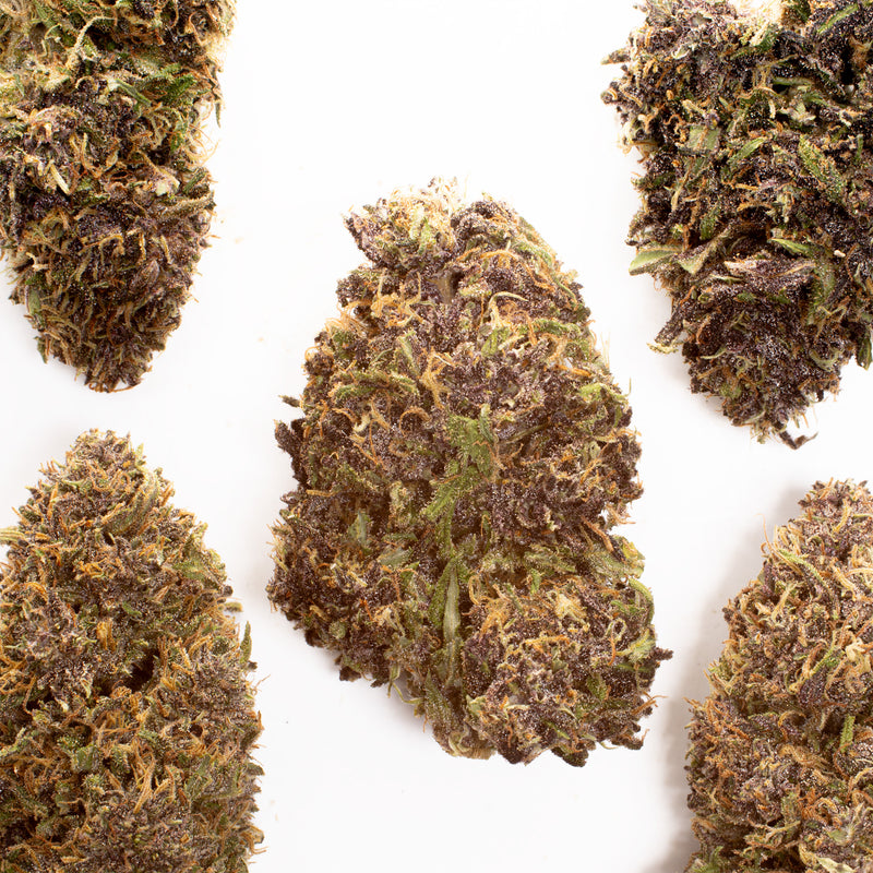 Orange Fritter CBD hemp flower, several whole buds on white