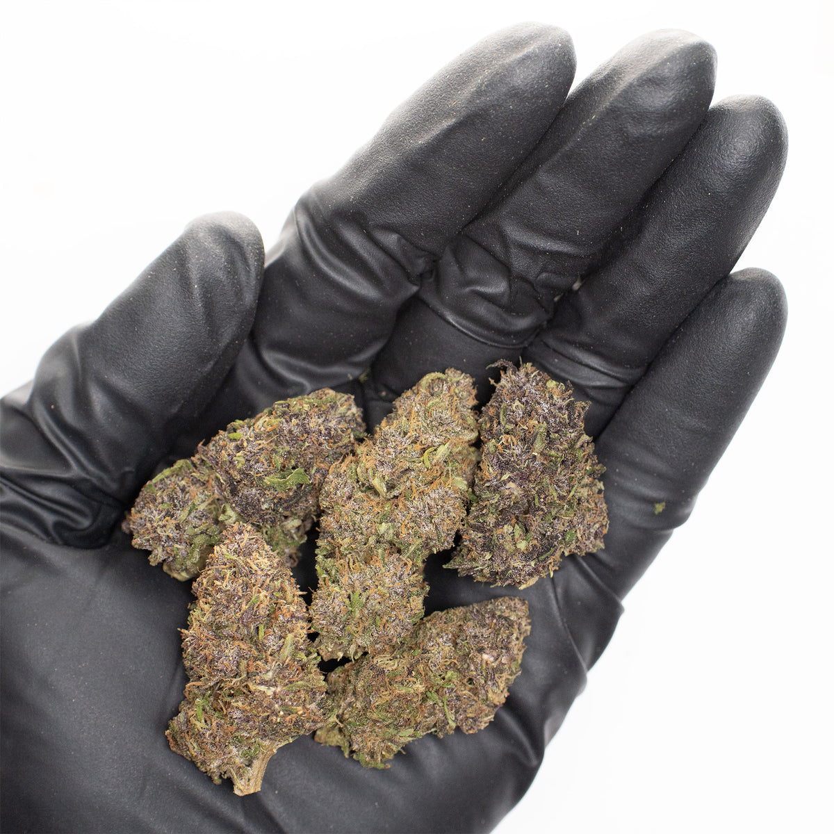 Orange Fritter CBD hemp flower, a handful of buds in a gloved hand