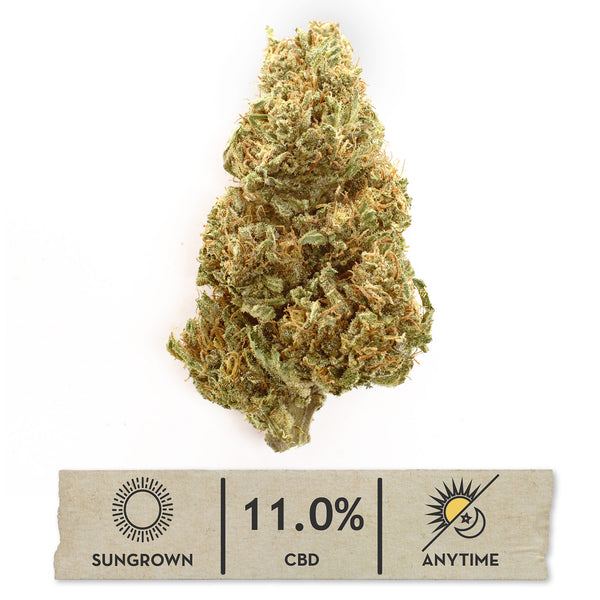 Orange Pineapple CBD hemp flower, single bud on white with its sungrown, 11.0% CBD label