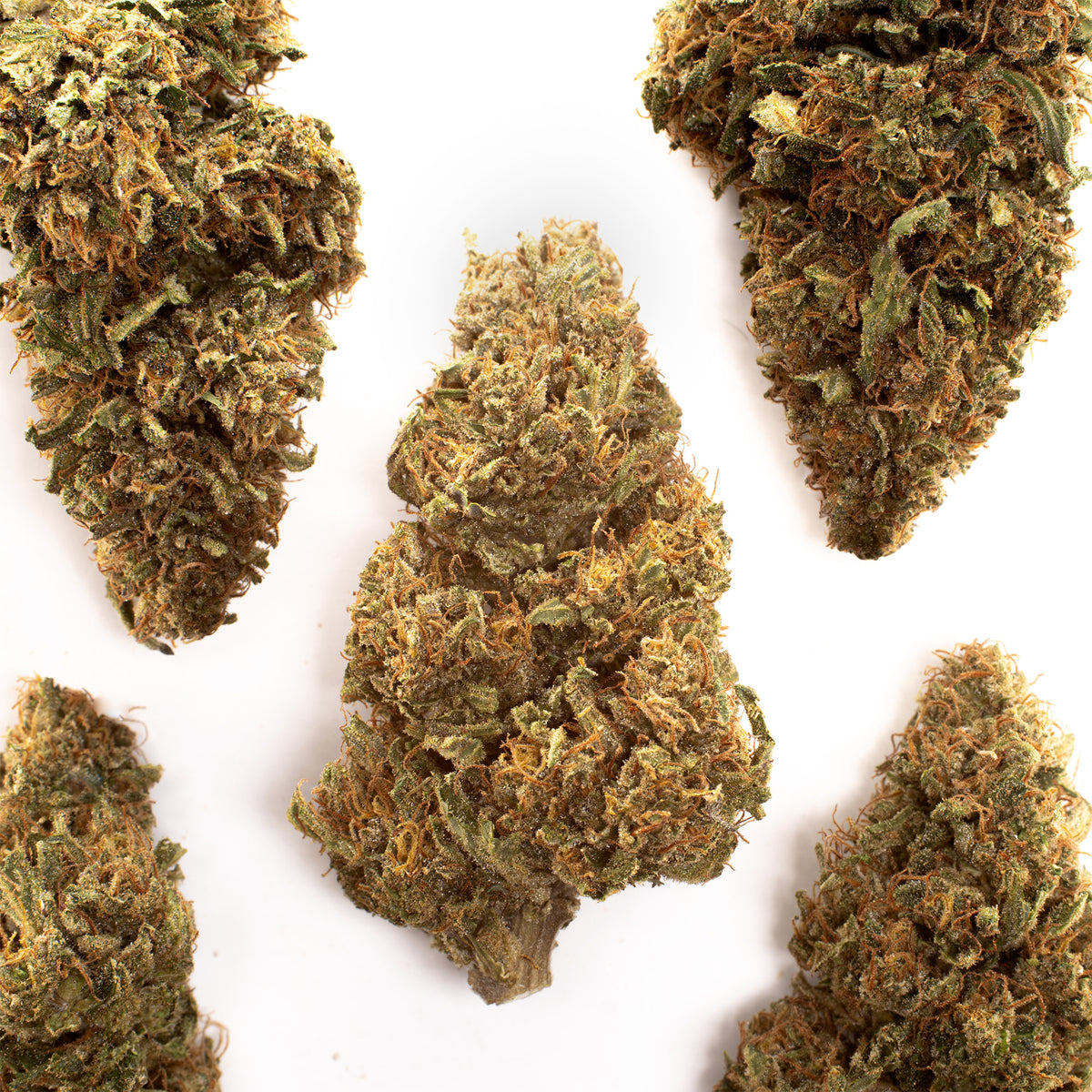 Orange Pineapple CBD hemp flower, several whole buds on white