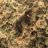 NEW! Passion Fruit OG Hemp Flower
