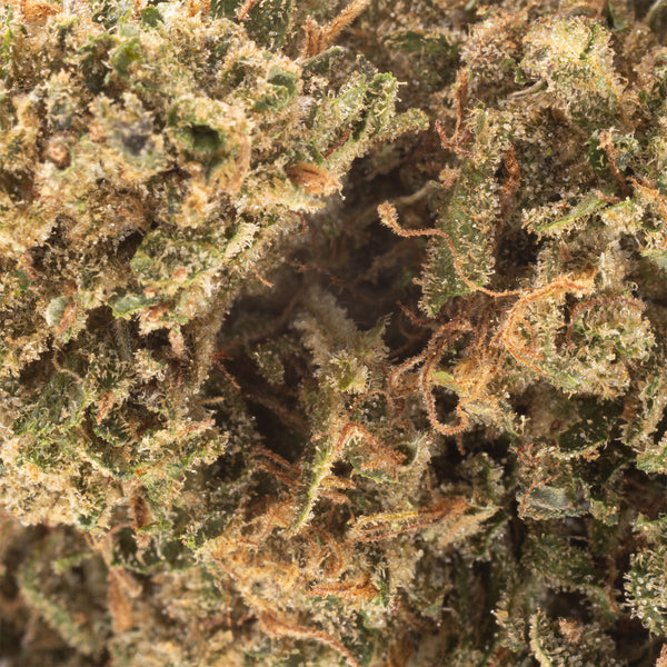 NEW! Passion Fruit OG Hemp Flower