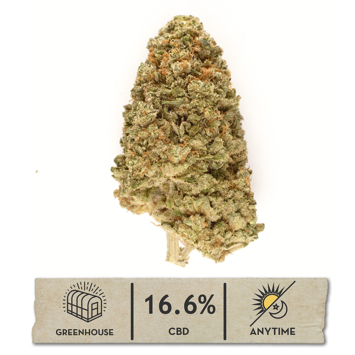 Payton's Strawberries #18 greenhouse hemp flower, a teardrop bud on white under rust-orange hairs, with a 16.6% CBD anytime label.
