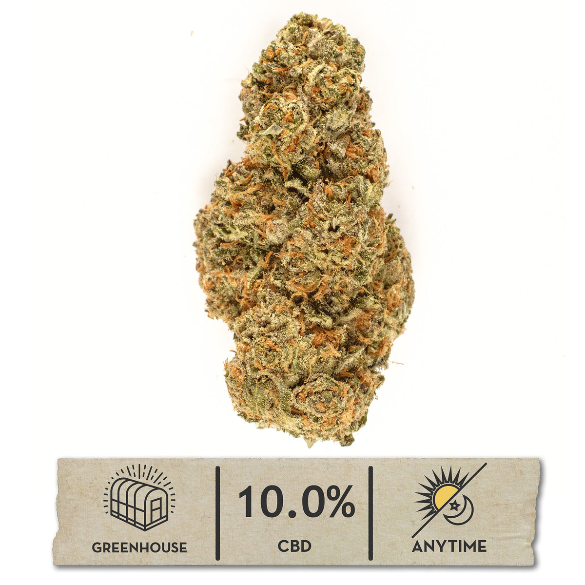 Payton's Strawberries #20 greenhouse hemp flower, a loose bud on white under heavy orange hairs, with a 10.0% CBD anytime label.
