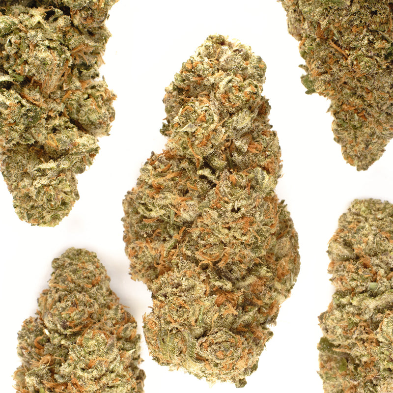 Five Payton's Strawberries #20 buds on white, loose shaggy shapes in green and violet under a mass of orange hairs.