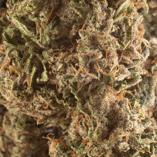 NEW! Pineapple Express CBD Flower