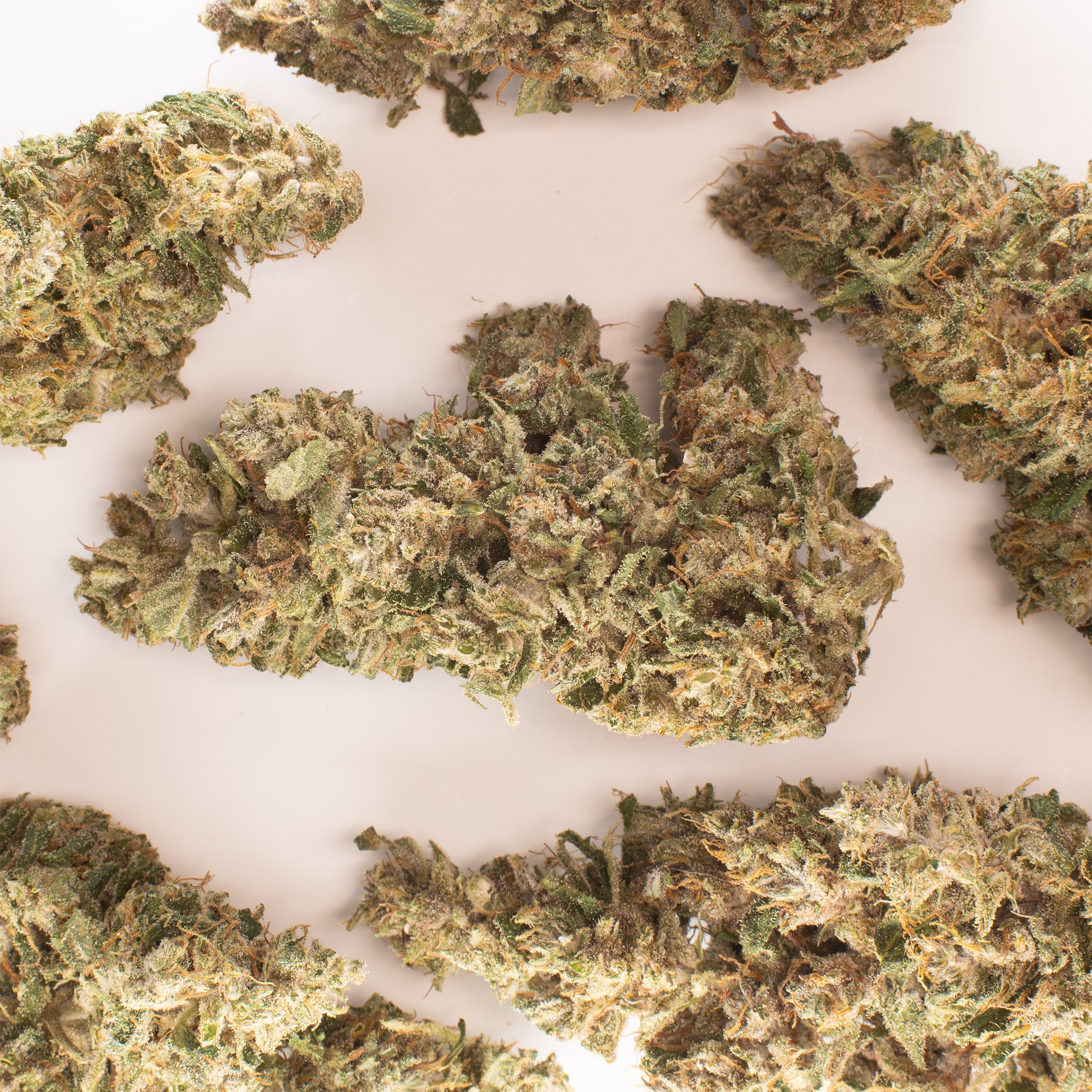 NEW! Pineapple Express CBD Flower