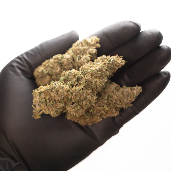 NEW! Pineapple Express CBD Flower