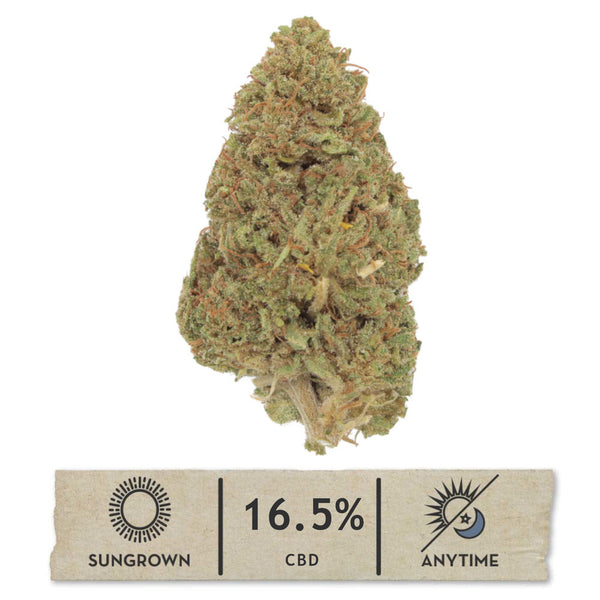 NEW! Purple Frosty Hemp Flower