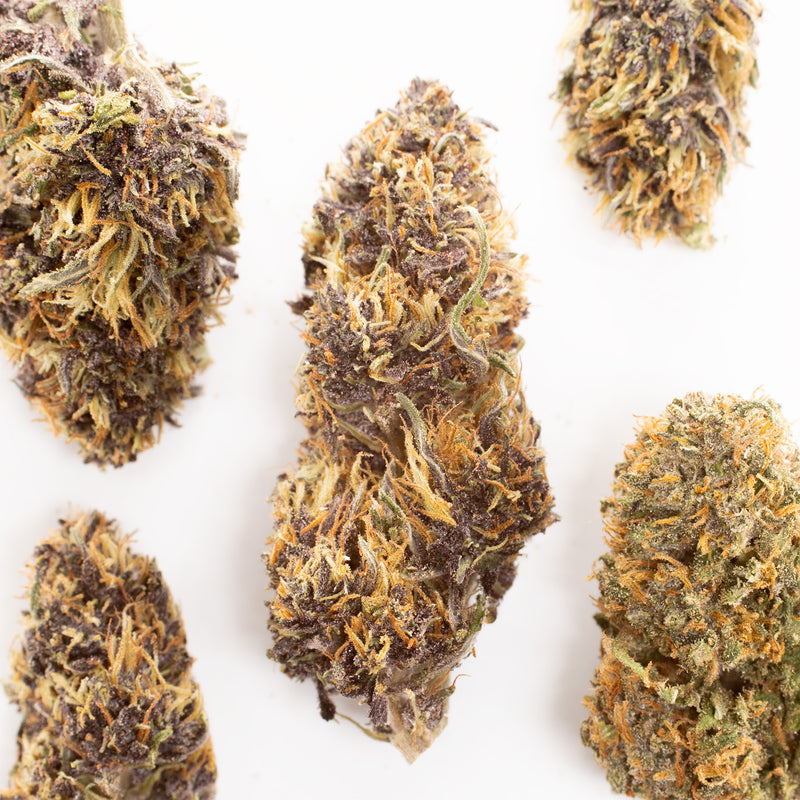 Purple Snowman CBD hemp flower, several whole buds on white