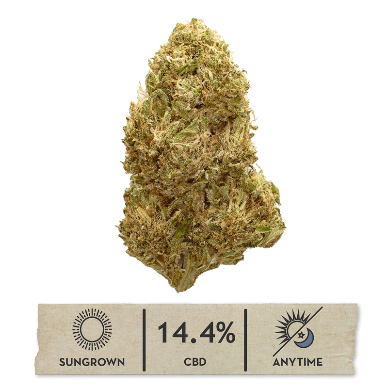 Rainbow GMO CBD hemp flower, single bud on white with its sungrown, 14.4% CBD label