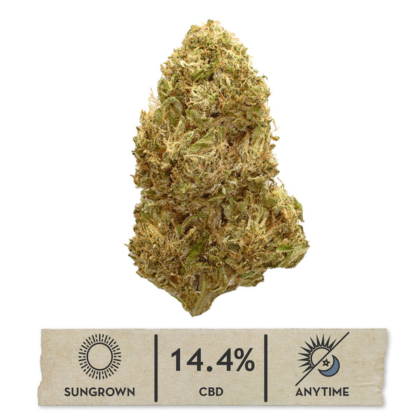 Rainbow GMO CBD hemp flower, single bud on white with its sungrown, 14.4% CBD label