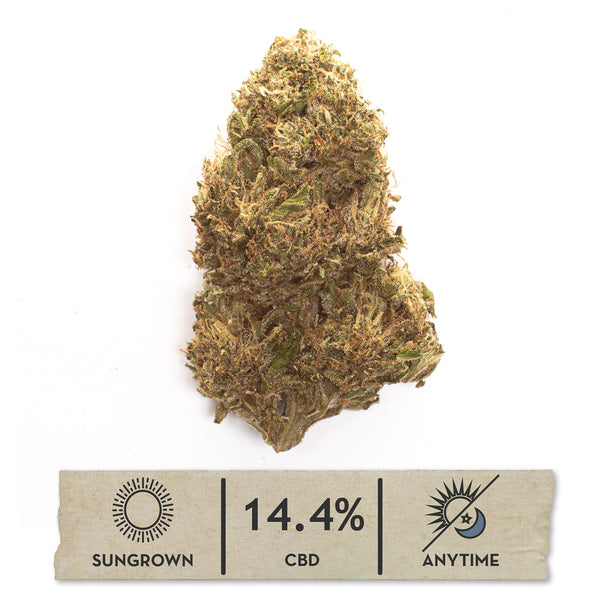 Rainbow GMO CBD hemp flower, single bud on white with its sungrown, 14.4% CBD label