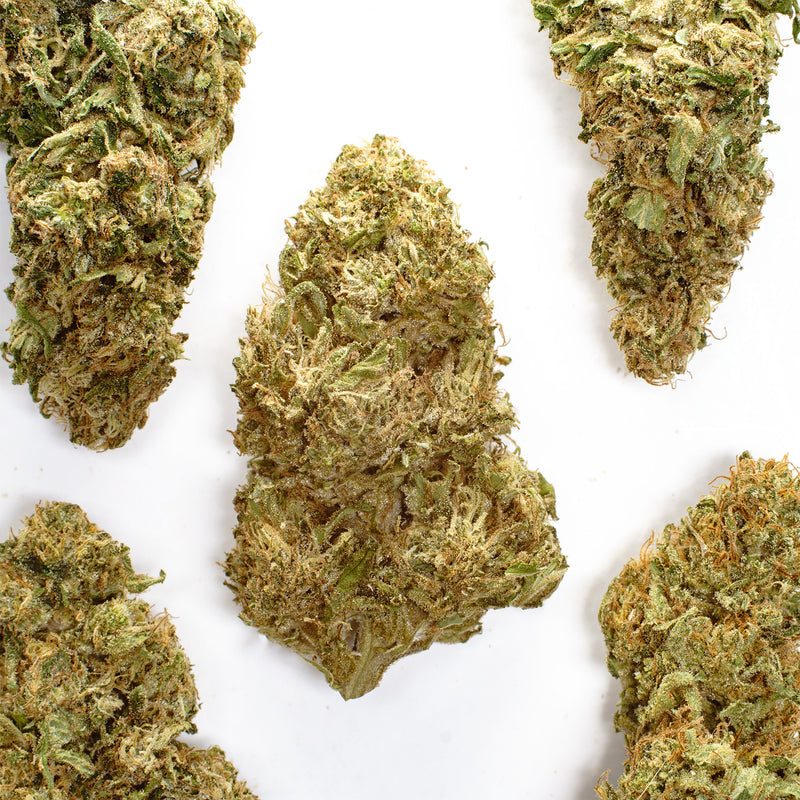 Rainbow GMO CBD hemp flower, several whole buds on white