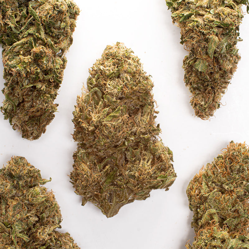 Rainbow GMO CBD hemp flower, several whole buds on white