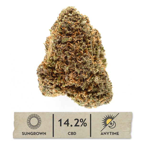 Rainbow Sherbet Hemp Flower