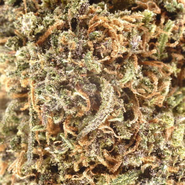 Rainbow Sherbet Hemp Flower