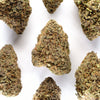 Rainbow Sherbet Hemp Flower
