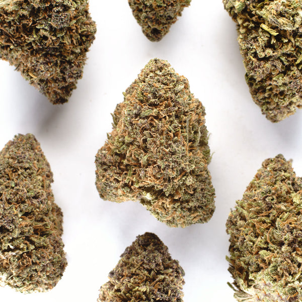 Rainbow Sherbet Hemp Flower